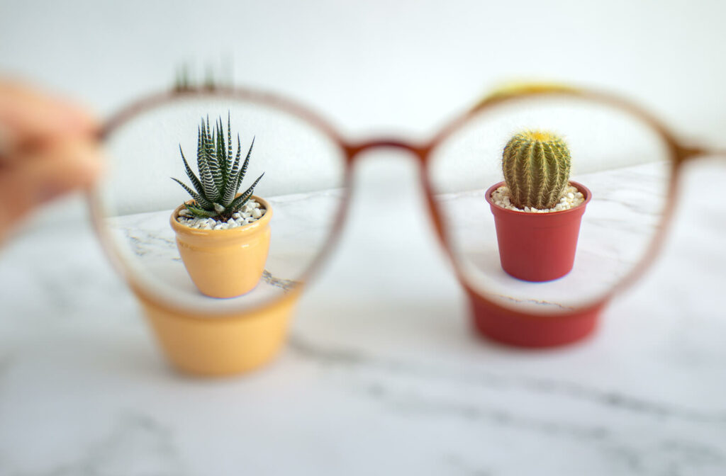 a hand holds a pair of glasses in front of two plants each taking up one lens of the glasses the image except for the plants are out of focus
